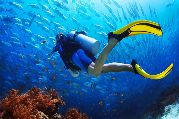 Buceo Image